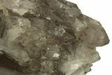 Massive, Double-Terminated Natural Smoky Quartz Crystal #219223-7